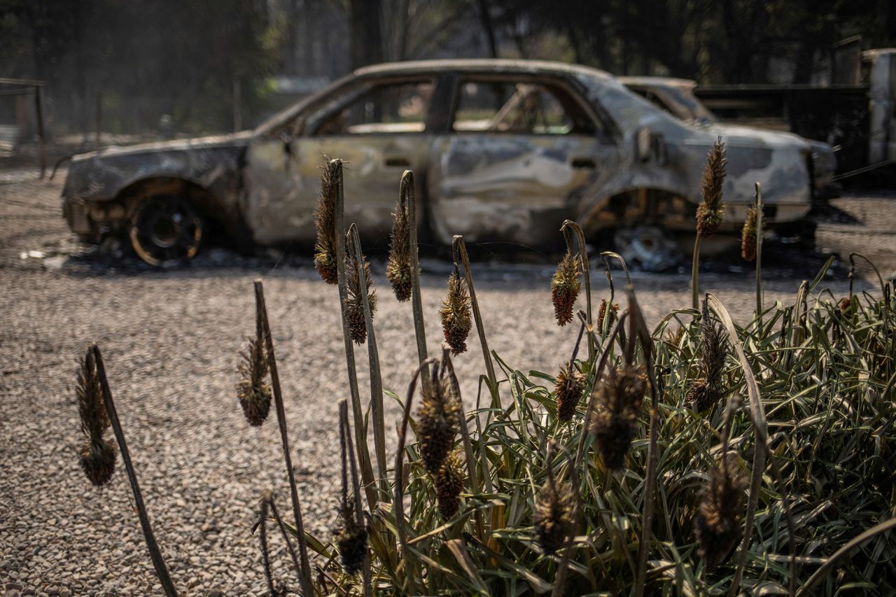 Damaged foliage is seen in front of a car destroyed by wildfires in Alto, New Mexico, on June 19. 