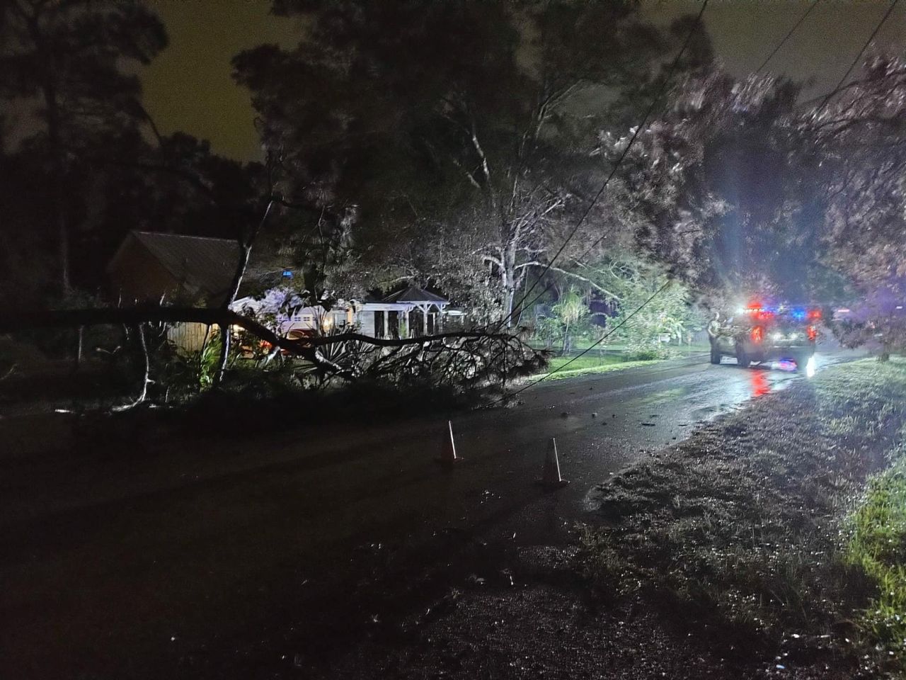 Hillsborough County Sheriff's office shared photos of a downed tree and power line in Citrus Park, Florida, on August 4.