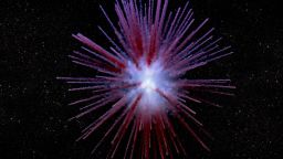 Dandelion-Supernova-Filament_1_WEB.original.jpg