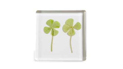 Dauphinette Four-Leaf Clover Paperweight