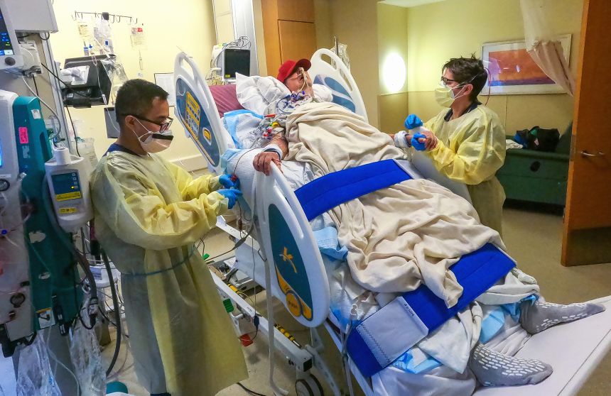 In January 2022, surgeons at the University of Maryland School of Medicine transplanted a pig heart into 57-year-old David Bennett Sr. He was the first person in the world to receive a genetically modified pig organ.