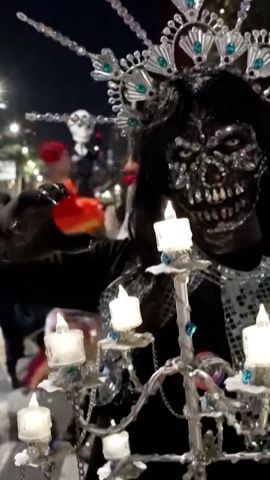 day of the dead vert 1.jpg