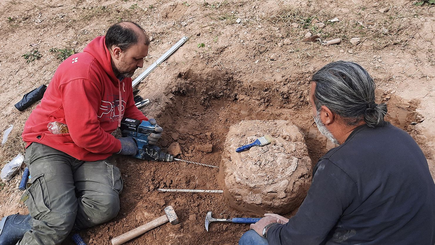 Martin De Los Reyes (left) and Guillermo Jofré, two of the researchers involved in the study, unearth the fossil of an extinct ice age armadillo relative known as Neosclerocalyptus.