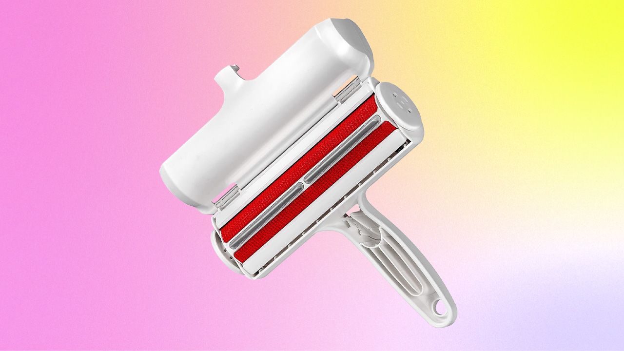 DealsFest_Lead IMG_Chom Chom Roller.jpg