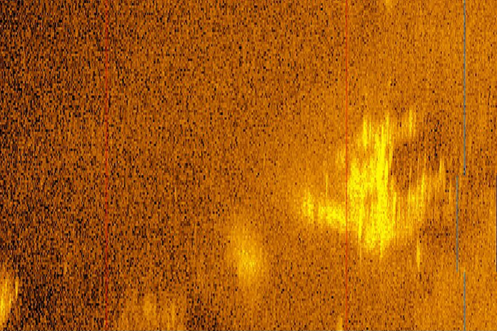 Sonar image.