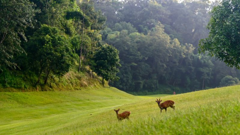 The historic, tranquil forest retreat on the outskirts of Kathmandu