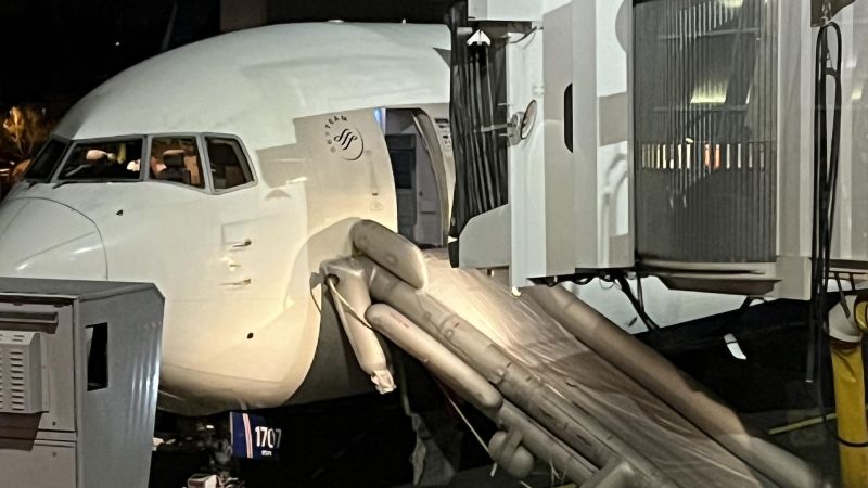 Delta Air Lines crew accidentally deploys emergency slide, cancels flight to Honolulu