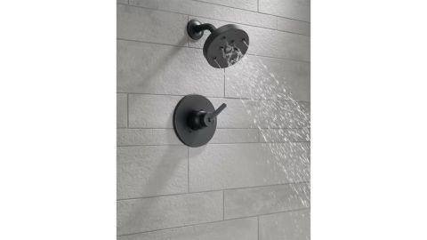 Delta Trinsic Shower Faucet