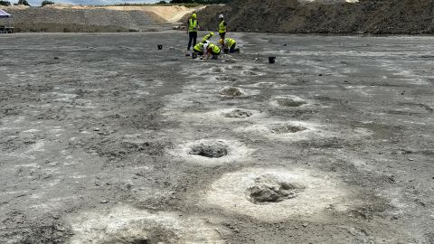Dewars Farm dinosaur excavation