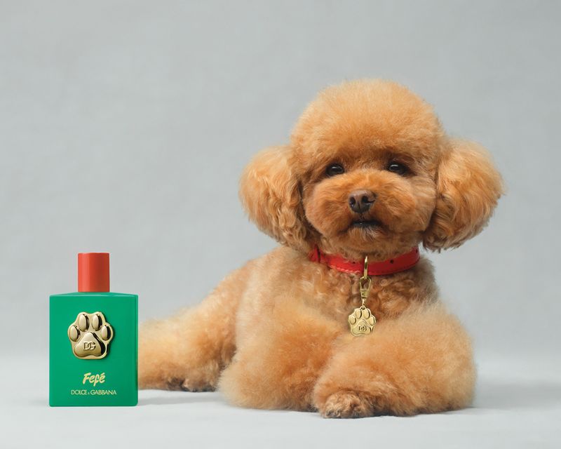 Shops puppy perfume