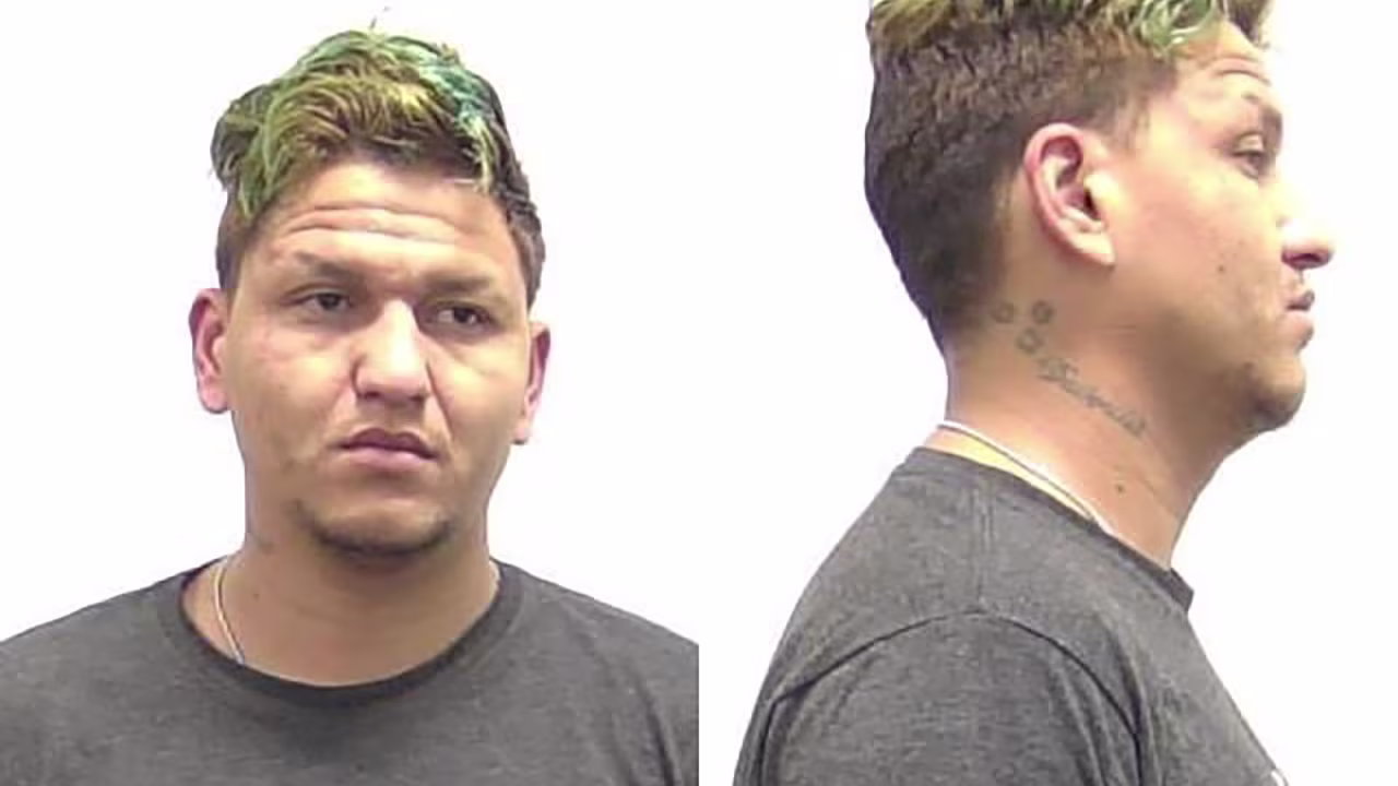 Diego Ibarra, brother of Jose Ibarra, is seen in this mugshot.