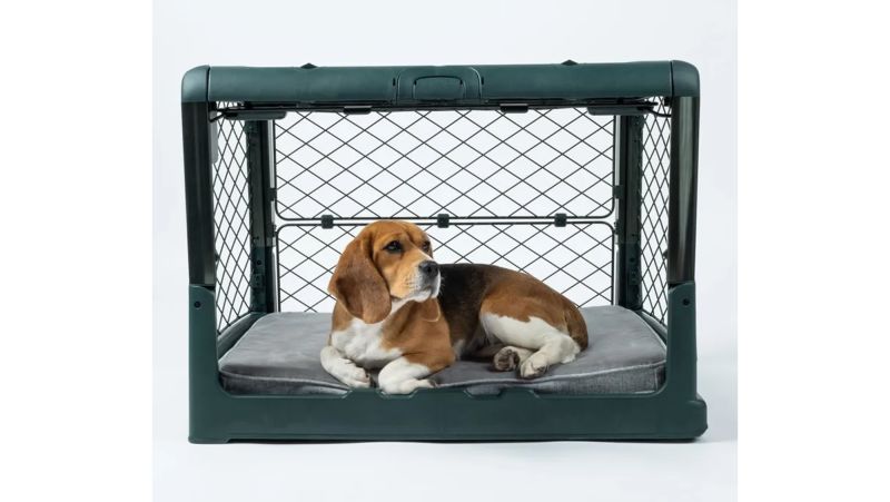 Black friday dog kennel hot sale sale