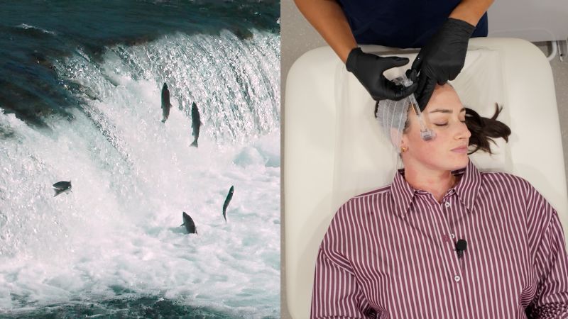 What exactly goes in to a salmon sperm facial?