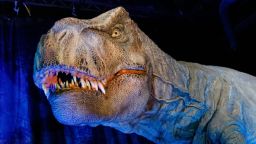 Un dinosaurio robot en el avance de prensa de "Jurassic World: The Exhibition" en el Odysseum el 30 de marzo de 2023 en Colonia, Alemania.