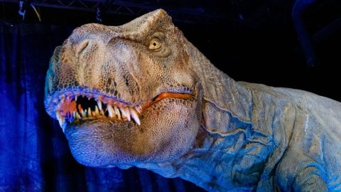 Un dinosaurio robot en el avance de prensa de "Jurassic World: The Exhibition" en el Odysseum el 30 de marzo de 2023 en Colonia, Alemania.