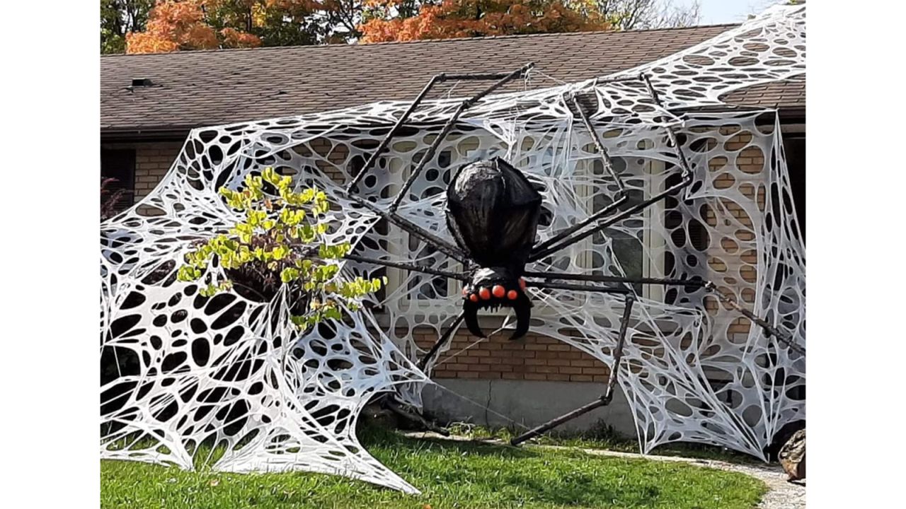 diy spider web.jpg