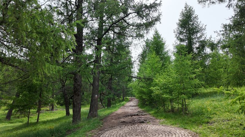 Първият в света национален парк не е в САЩ. Това е в mongolia 
