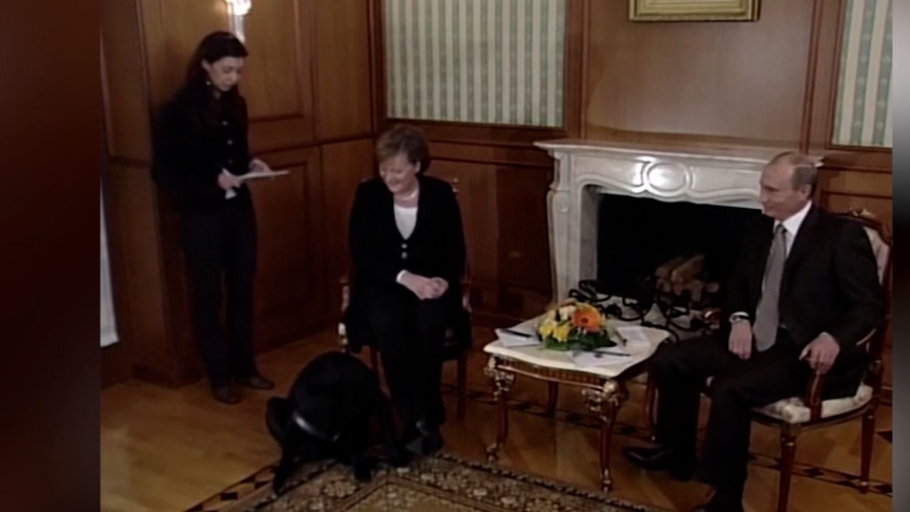 dog.jpg