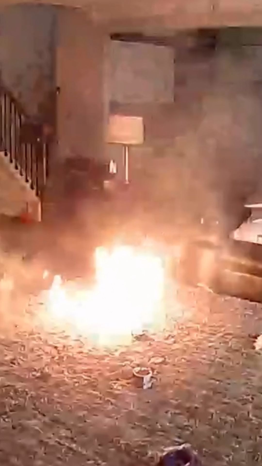 Dog Ignites Fire Clean Thumb.jpg