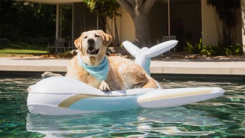 FUNBOY x Bark Private Jet Dog Float