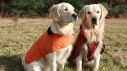 Ruff' month for a dog picked up by tornado and flung 1,000 feet