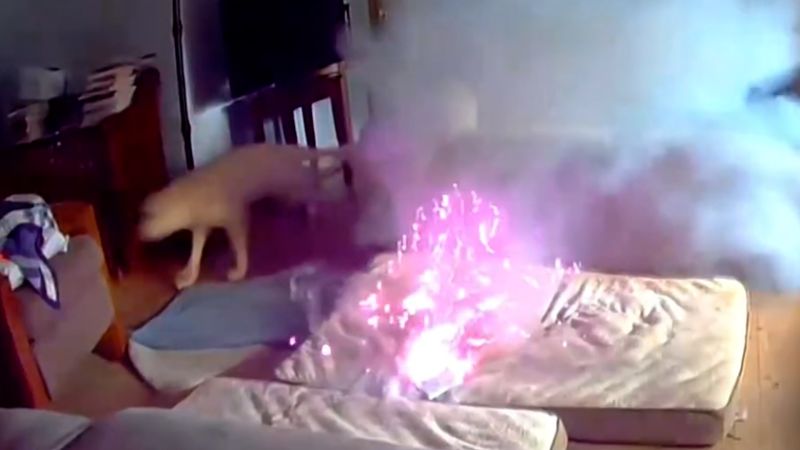 Dog starts house fire after chewing lithium-ion battery