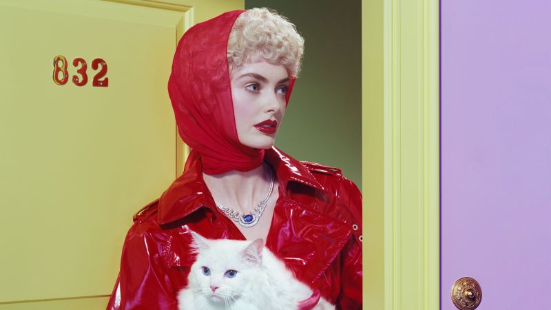 Харесва ми строгостта и напрежението да гледам през обектива и