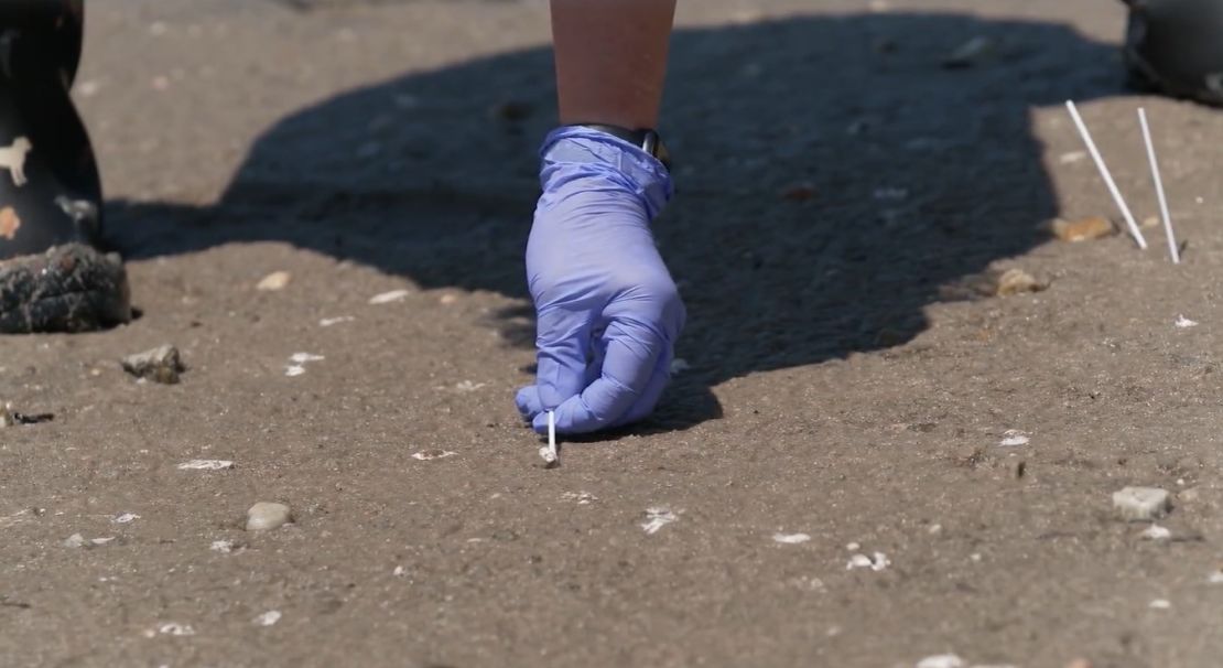 La Dra. Pamela McKenzie recoge muestras de excrementos de aves en la playa de East Point. El equipo recoge entre 800 y 1.000 muestras de excrementos de aves en las playas que rodean la bahía de Delaware cada año.