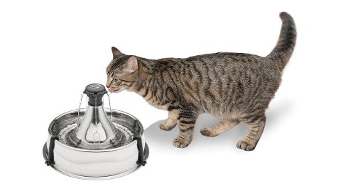 drinkwell cat water fountain cnnu.jpg