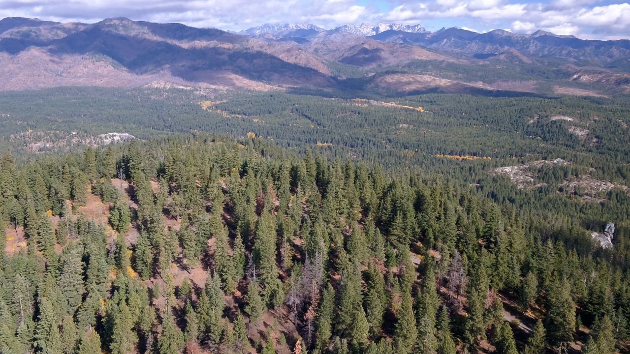 Drone.00_04_48_26.Still001.jpg