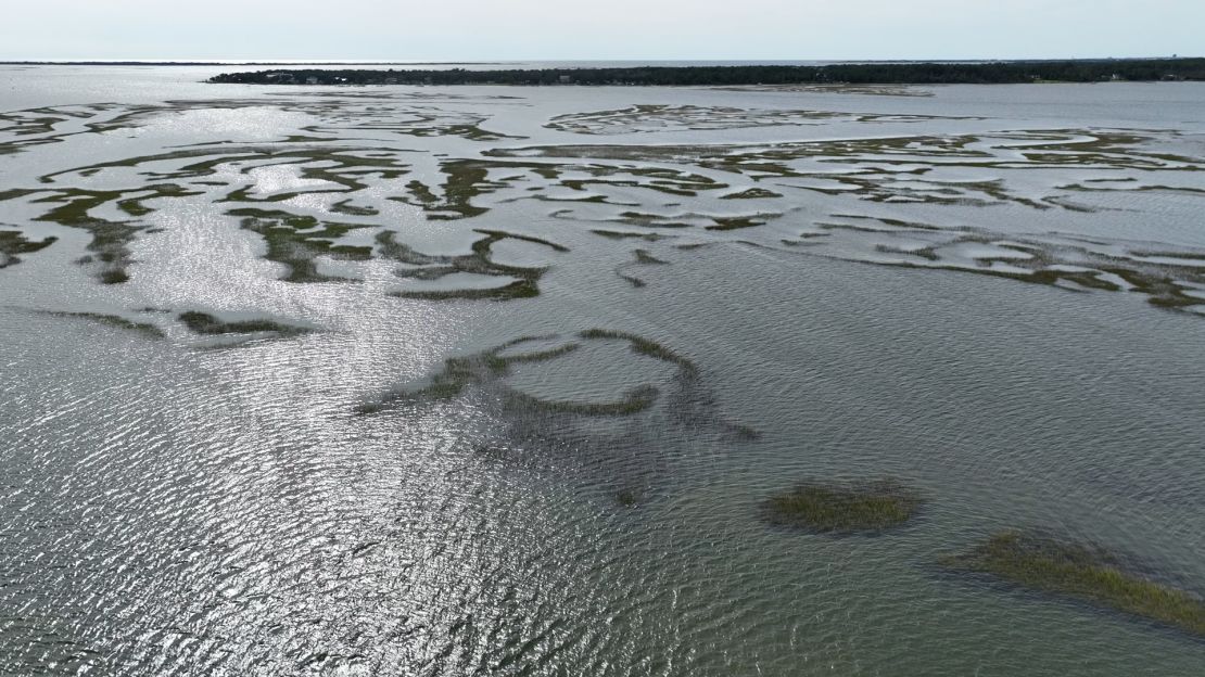 An aerial view off the coast of Morehead City, North Carolina, where Professor Joel Fodrie of the UNC's Institute of Marine Sciences says they have seen a slow annual decline in seagrass meadows.