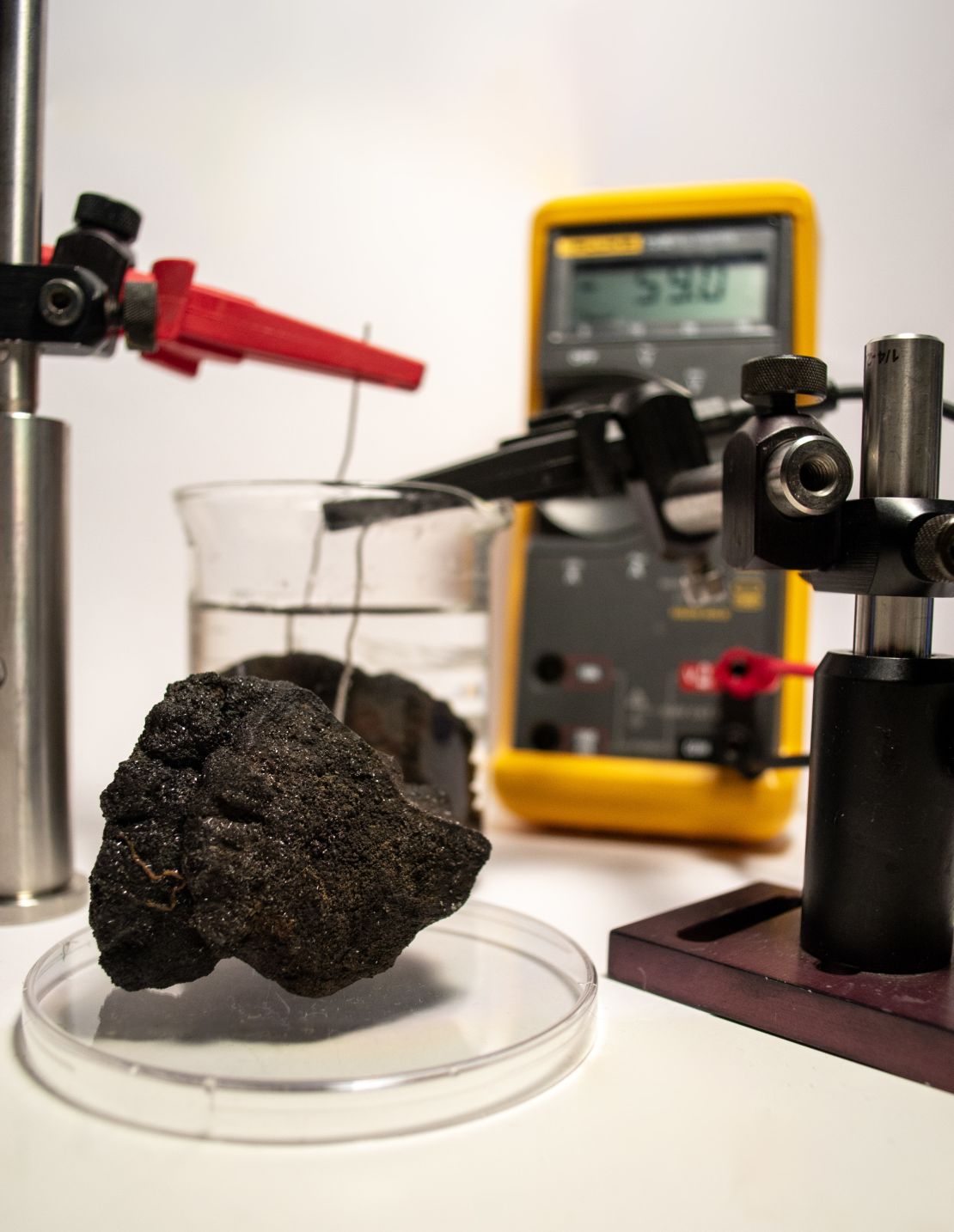 Polymetallic nodules found in the seafloor in the Clarion-Clipperton Zone, such as the one seen here, are rich in manganese, copper, cobalt and nickel.