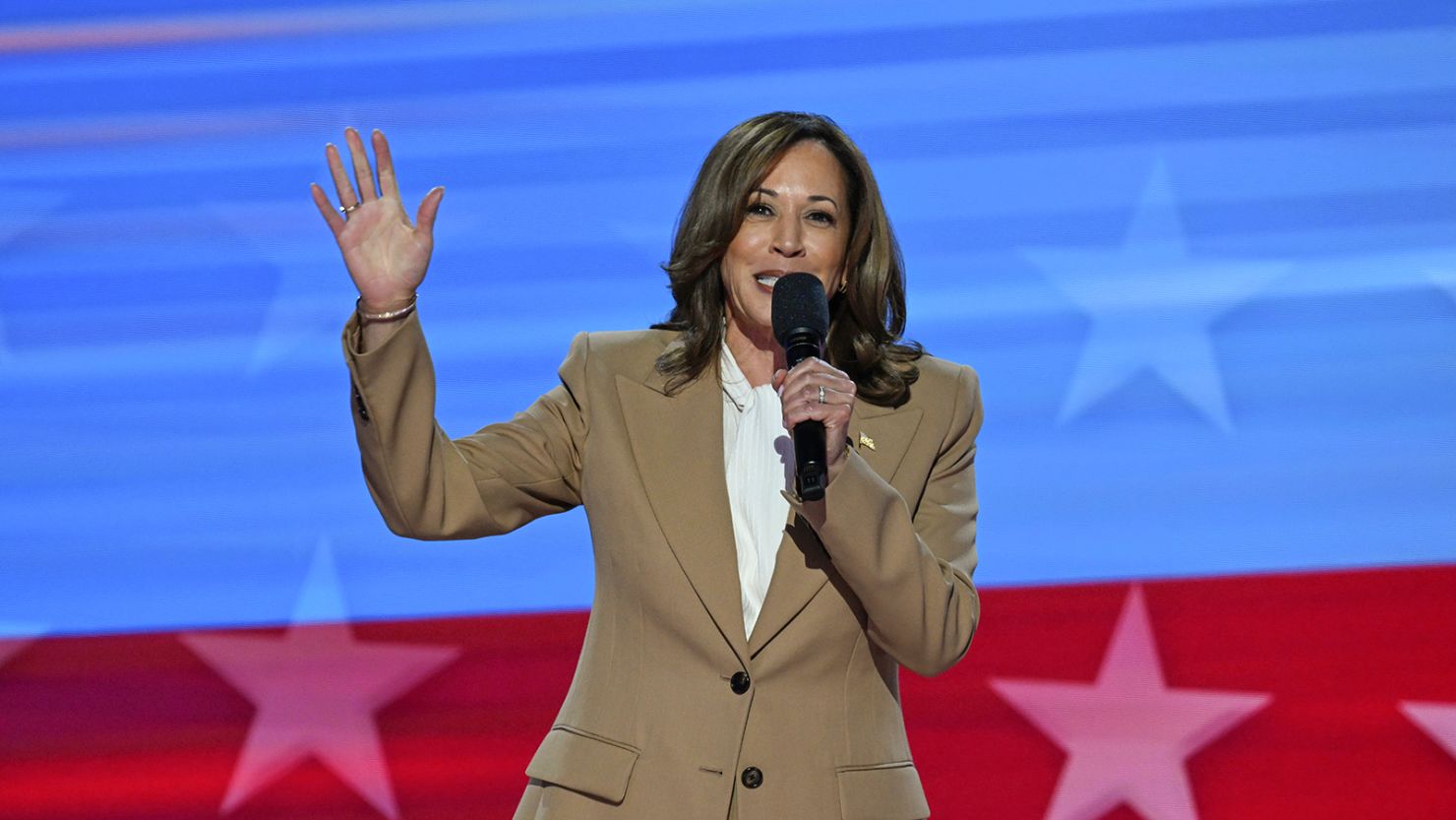 Vice President Kamala Harris speaks on the opening night of the DNC on August 19, in Chicago.