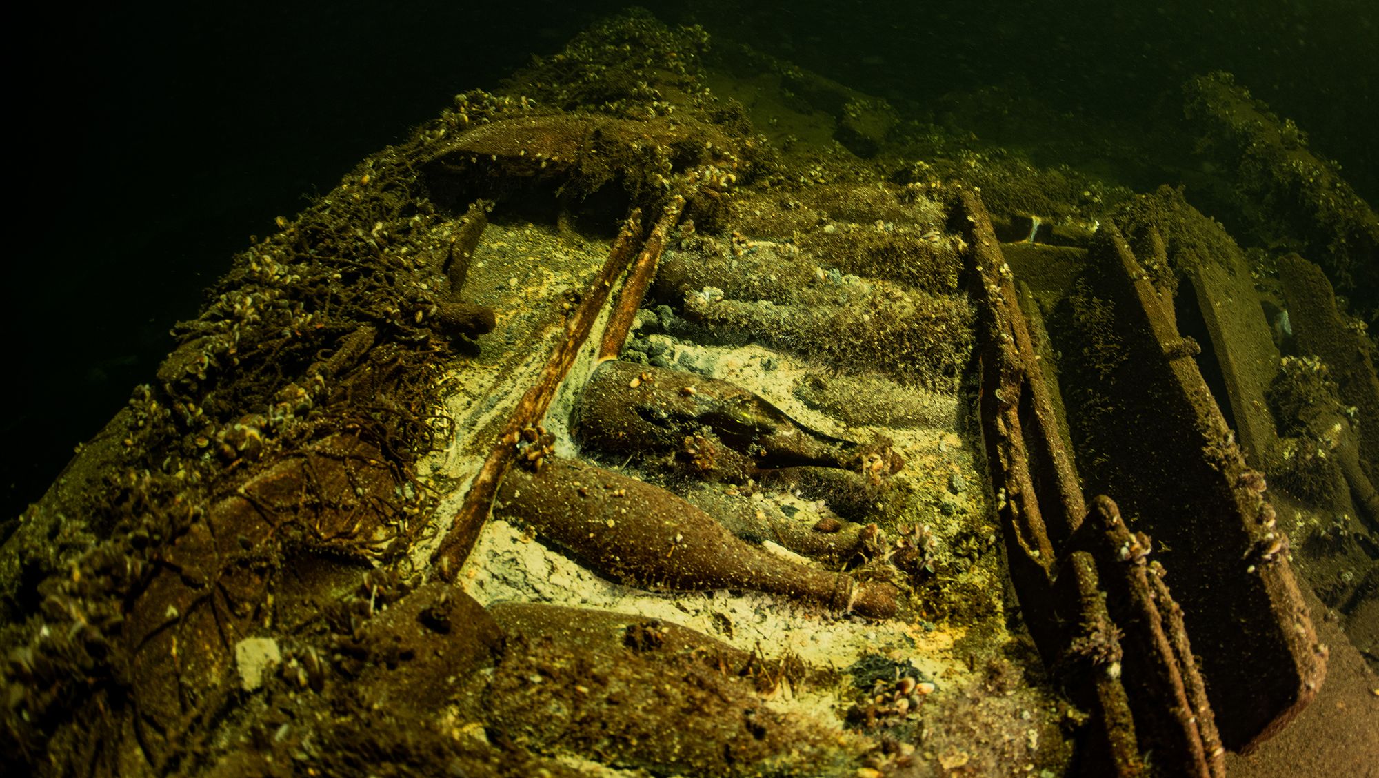 A huge haul of unopened champagne bottles was found on a shipwreck discovered in the Baltic Sea.