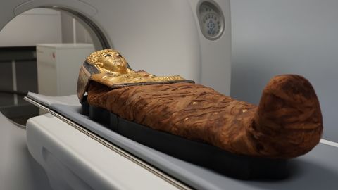 Researchers at the Field Museum scan a mummified individual displayed in the Inside Ancient Egypt exhibition.