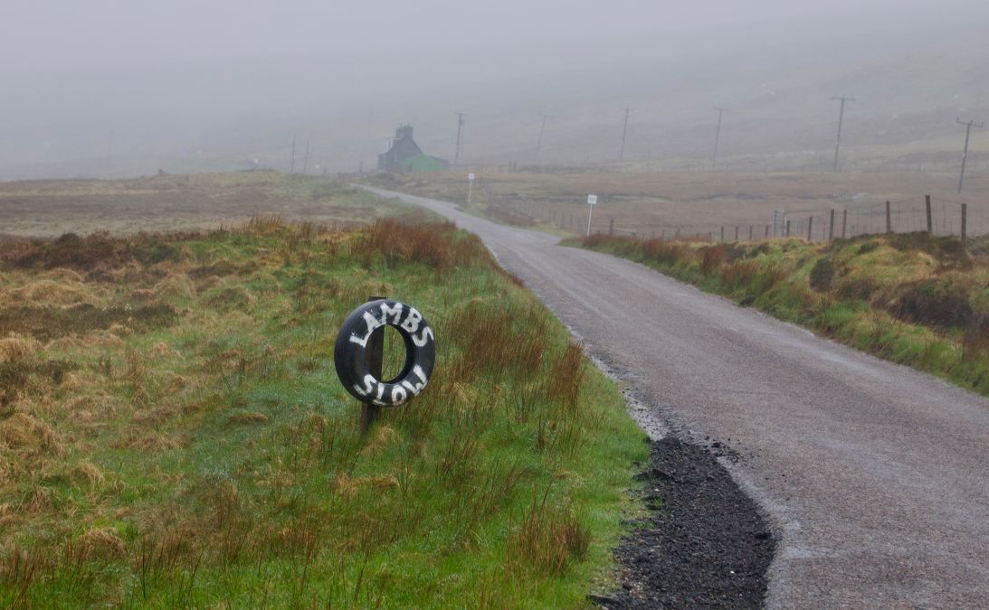 Sections of the NC500 route are on single track roads that are barely wide enough for larger camper vans and can easily become snarled up when traffic volumes rise in summer.