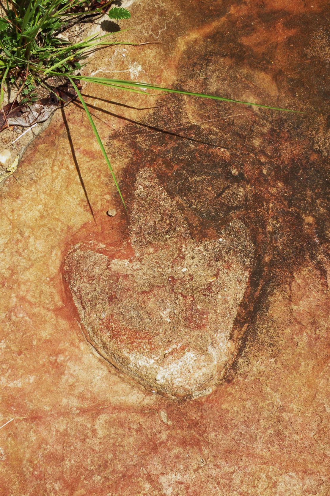 A theropod footprint appears in this image from the Sousa Basin in northeastern Brazil.