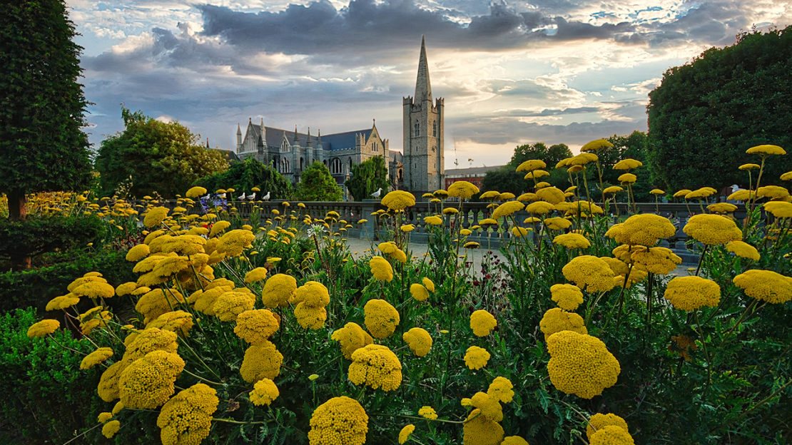 Dublin with flowers