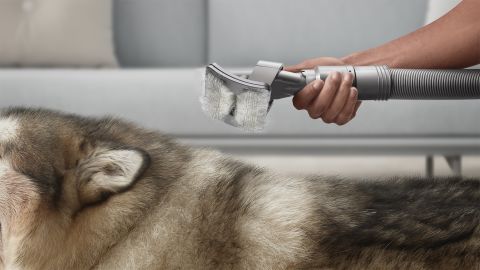 0916 dyson