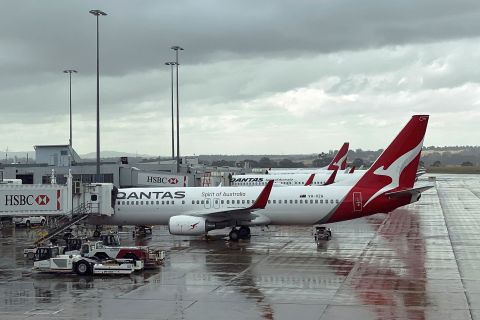 Qantas planes sit lined up at Melbourne's International Airport on February 22.