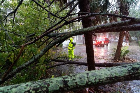 A firefighter examines a fallen tree in Charleston, South Carolina, on Friday.