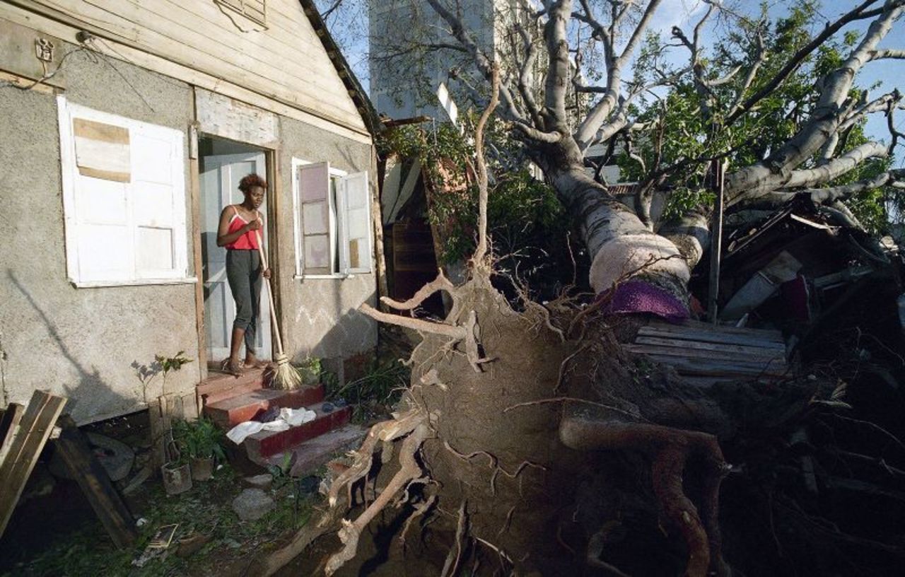 A woman stands at her front door looking at a huge tree on September 14, 1988, that was felled by Hurricane Gilbert as it crossed Jamaica.