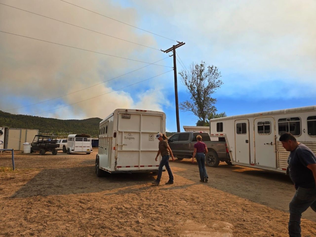 Horses are rescued at Ruidoso Downs track on Tuesday.