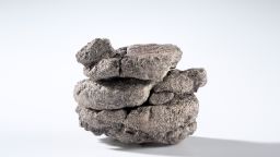 Ornithopod vertebra from the Denver Formation, from 763' of depth in the City Park core drilling in the parking lot at Denver Museum of Nature and Science.
