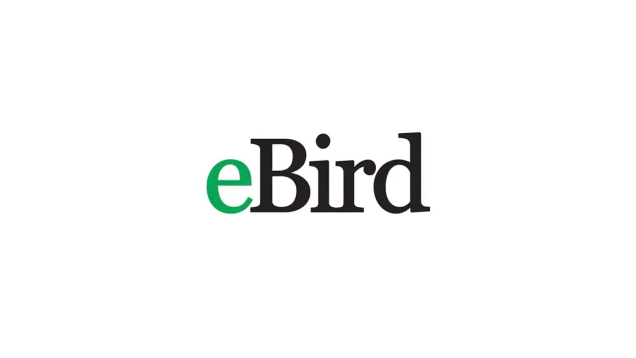 ebird logo cnnu.jpg