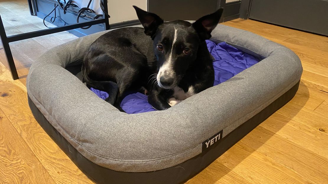 Yeti Trailhead Dog Bed