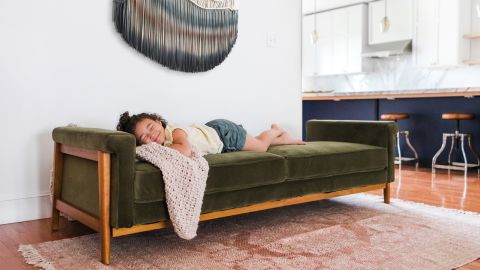 Edloe Finch Ashbury Sleeper Sofa