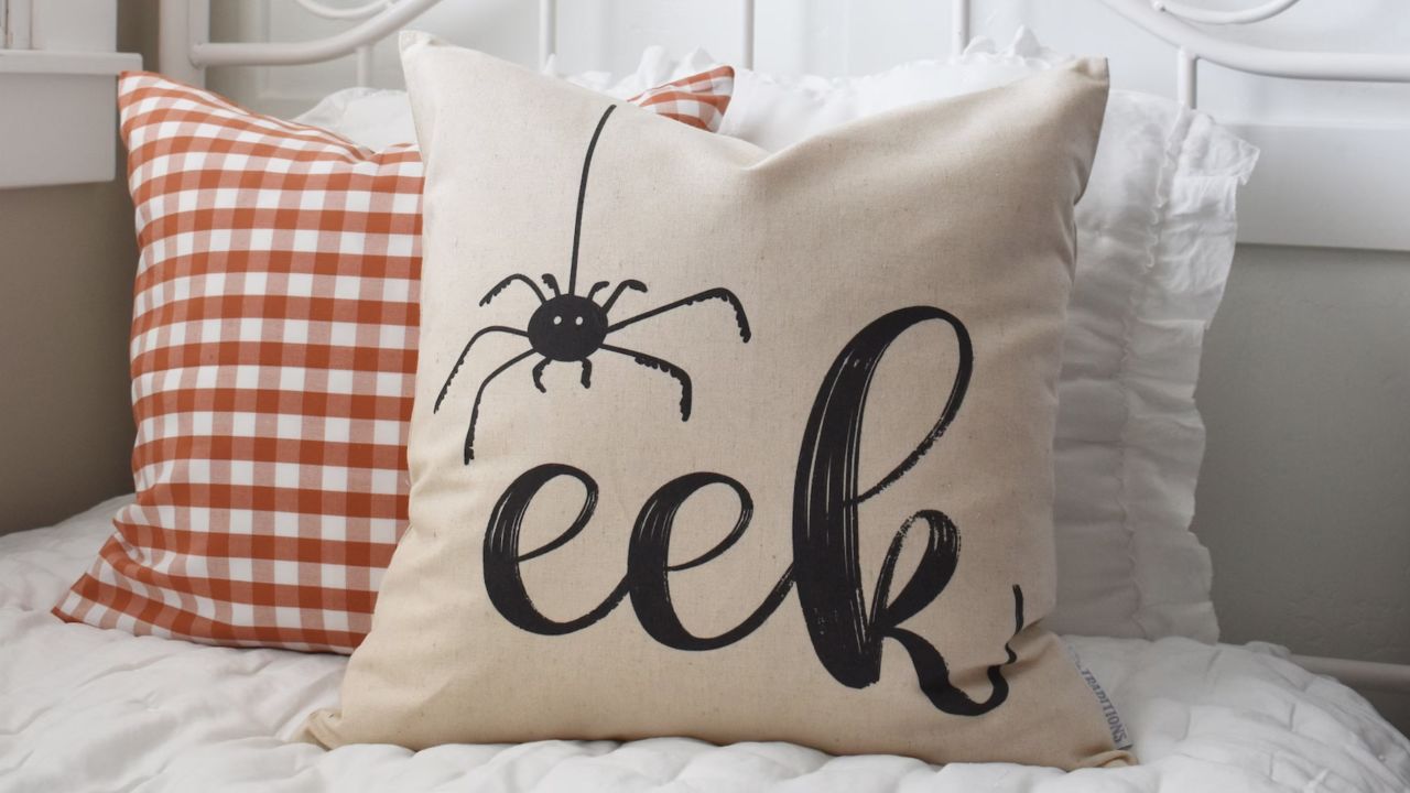 eek pillow cnnu.jpg