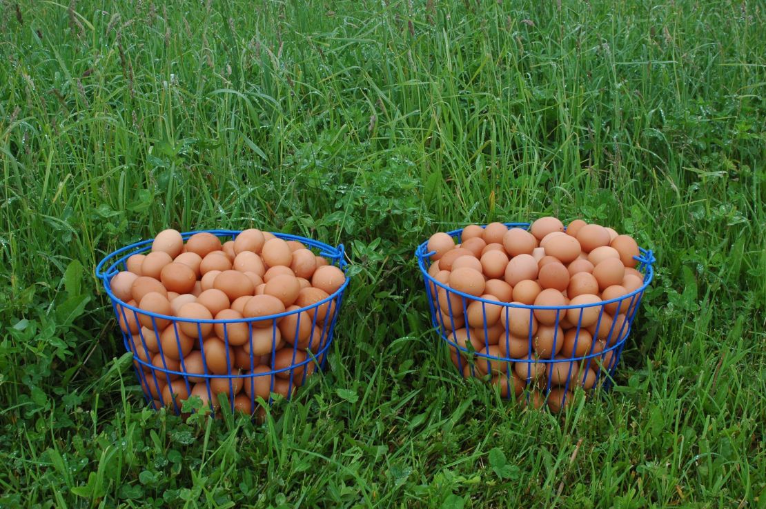 Brown eggs generally cost more in stores than white eggs. It has to do with the cost of the upkeep of the chicken breed that produces brown eggs.