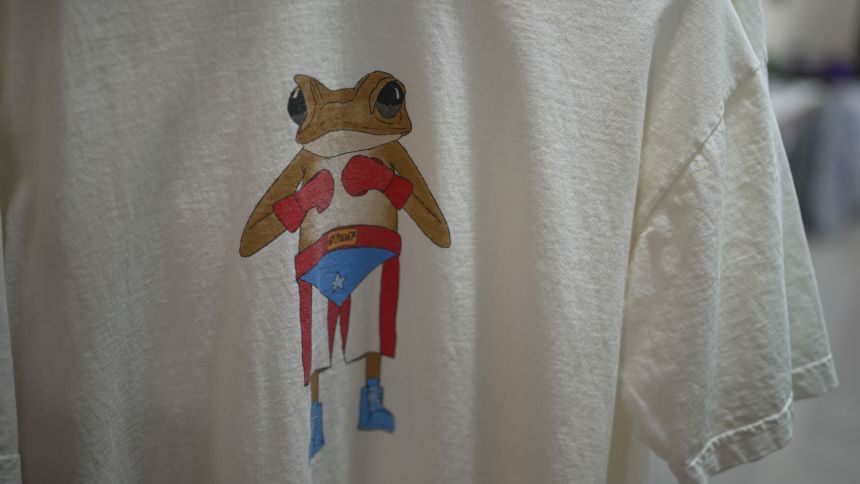 El Concho, a toad native to Puerto Rico, has become Bad Bunny's mascot for the residency.
